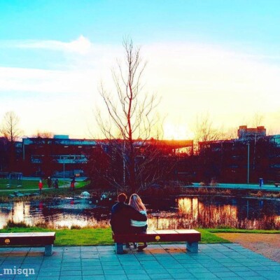 Vysokeskoly-Irsko-University-College-Dublin-kampus2