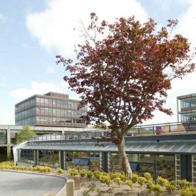 Vysokeskoly-Irsko-University-Galway-kampus4