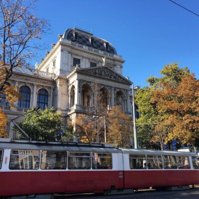 Vysokeskoly-Rakousko-Universitat-Wiena-kampus3